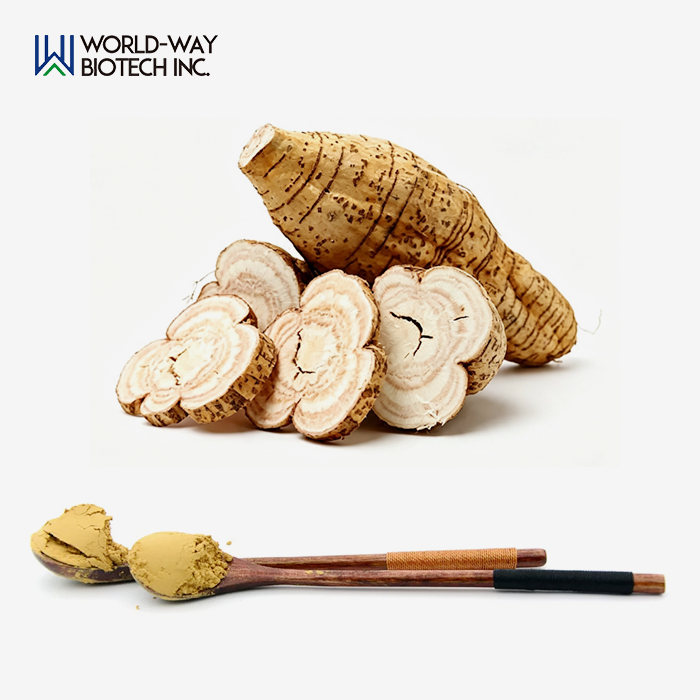 Kudzu Root Extract Powder Kudzu Root Extract Powder